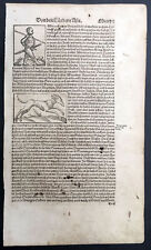 1598 Sebastian. Munster