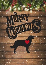 Large Munster Lander Puppy